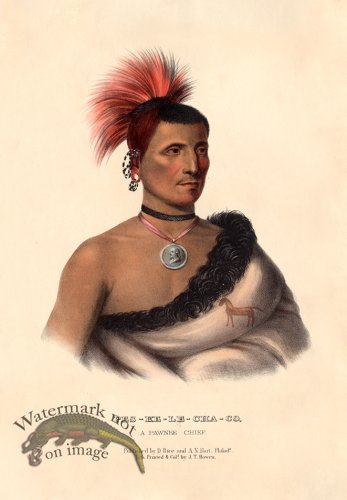 (image for) Pes-Ke-Le-Cha-Co