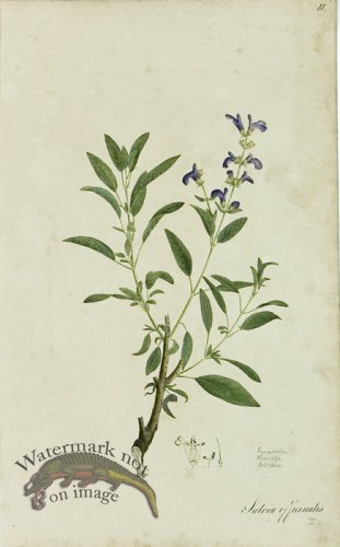 (image for) 1828_Gmp 074