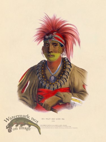 (image for) No-way-ke-sug-ga Otoe