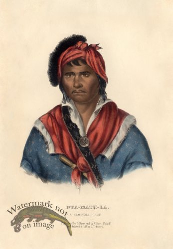 (image for) Nea-Math-La