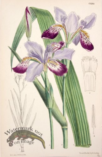 (image for) CBMS_0010