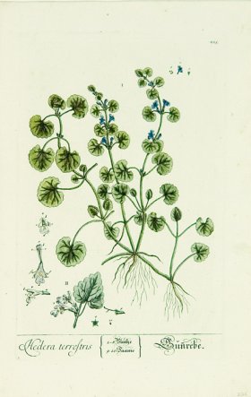 Blackwell German 037