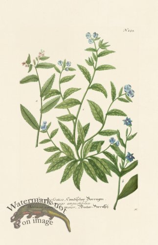 (image for) Weinmann PL 254