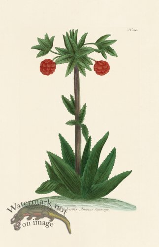 (image for) Weinmann PL 110