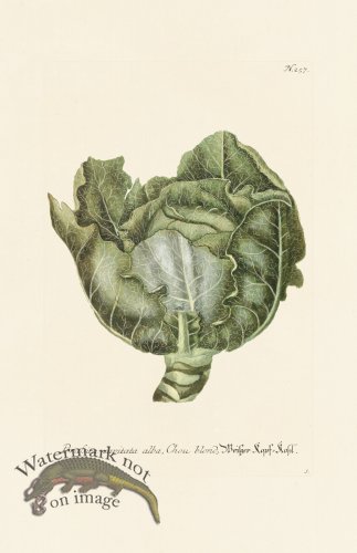 (image for) Weinmann PL 257