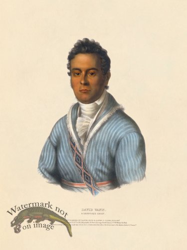 (image for) David Vann Cherokee