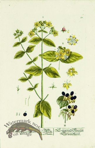 (image for) Blackwell German 146