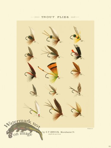 (image for) Favorite Flies 15 Trout