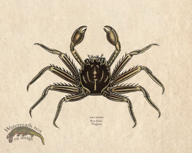 (image for) Sand_Soldier_16