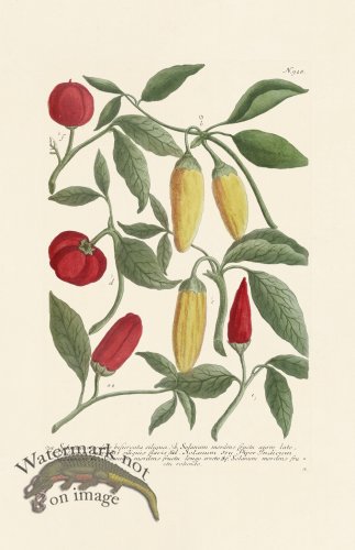 (image for) Weinmann PL 928