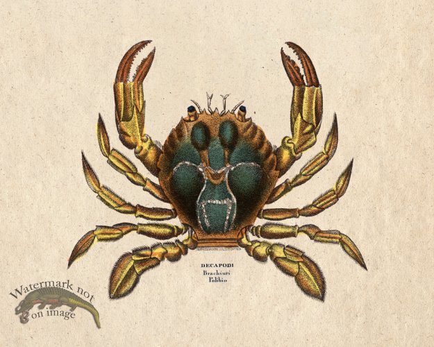 (image for) Sand_Soldier_01