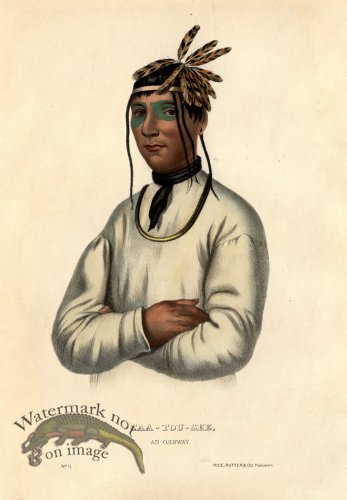 (image for) Caa-Tou-See