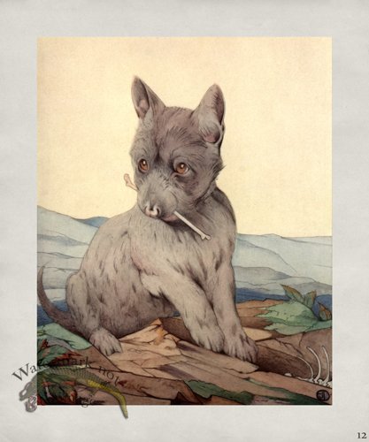 (image for) Puppy Dog 12