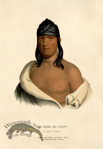 (image for) Pa-She-Pa-Haw