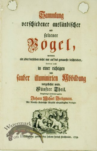 (image for) Seligmann Title Page 1