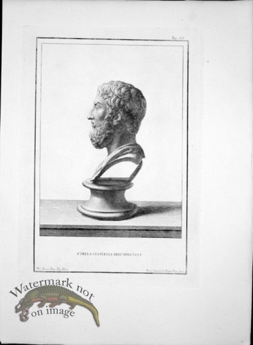 (image for) Ercolano Bust 15