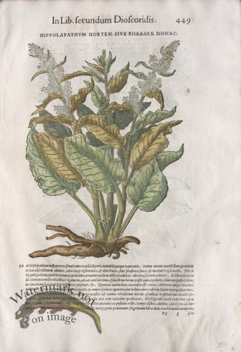 (image for) WB Botanicals 54