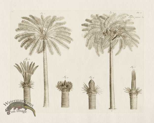 (image for) HORTUS VOl 03 20