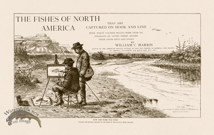 (image for) AF Title Page