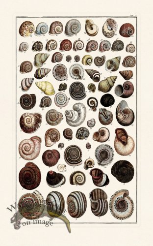 (image for) Seba B2 040