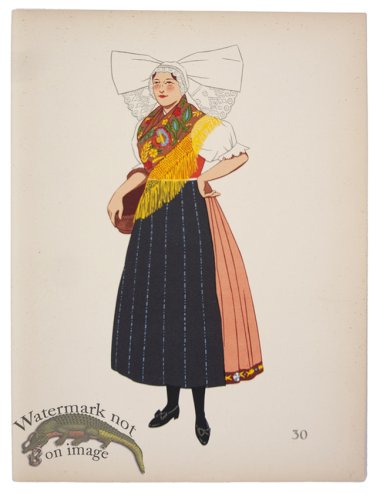 (image for) Bohemian Plzen