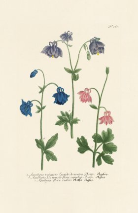 (image for) Weinmann PL 160