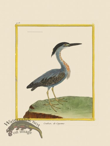 (image for) Martinet Bird 908