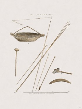 63 New Holland Caffowary