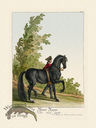 (image for) Ridingers Horses 16