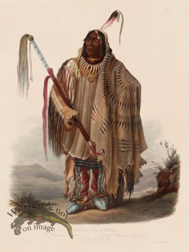 (image for) 17 Pehriska Ruppa