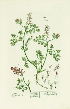 Blackwell German 263