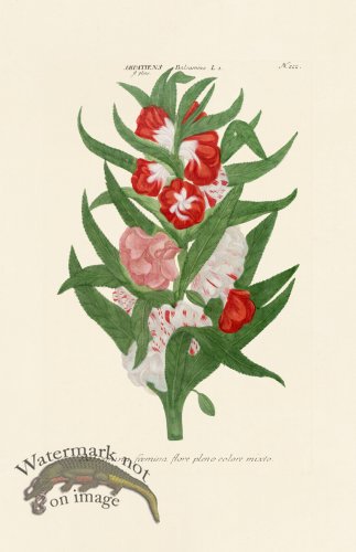 (image for) Weinmann PL 222