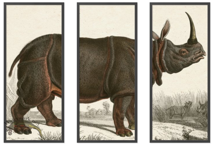 (image for) RinoTriptych 01 BF