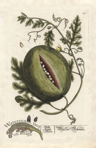 (image for) Blackwell GE 157