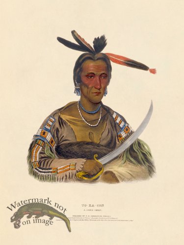 (image for) To-ka-con Sioux