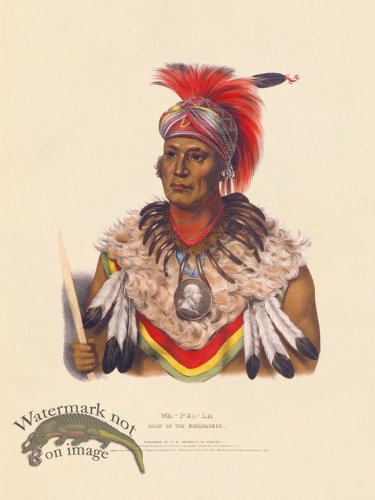 (image for) Wa-pel-la Musquakees