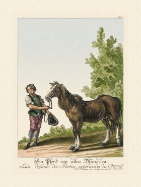 (image for) Ridingers Horses 04