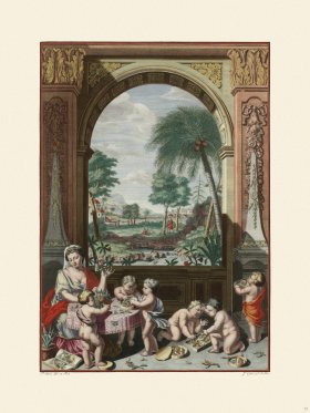 Merian Metamorphosis 73