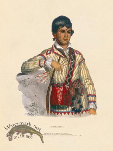 (image for) Mistippee Creek