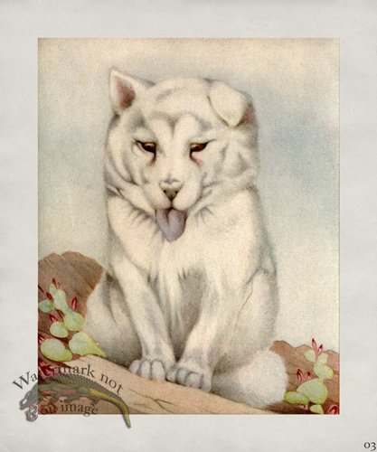 (image for) Puppy Dog 03