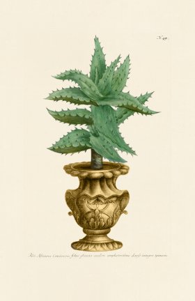 (image for) Weinmann PL 049