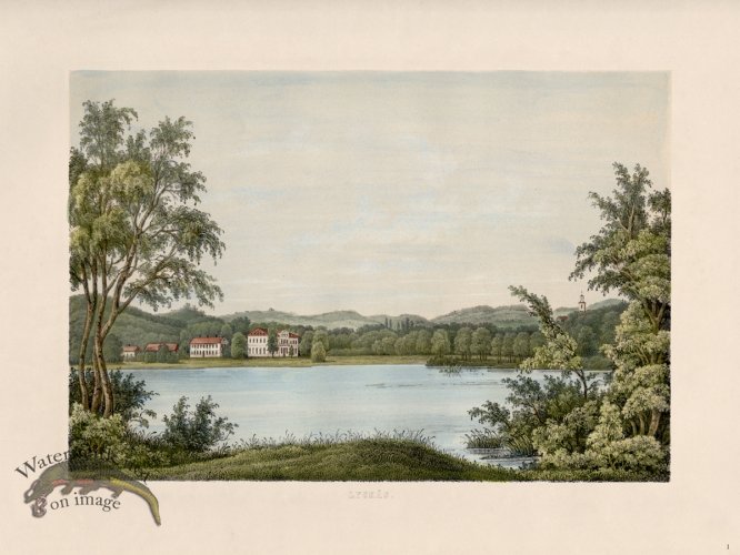 (image for) 01 Lyckas