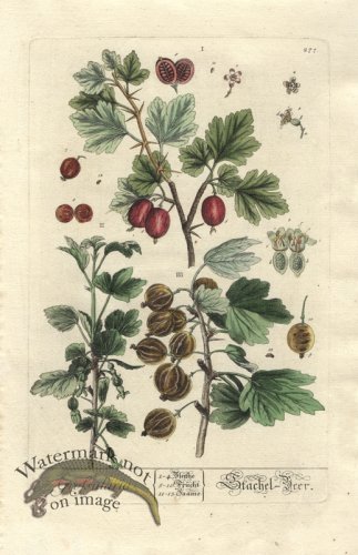 (image for) Blackwell GE 277