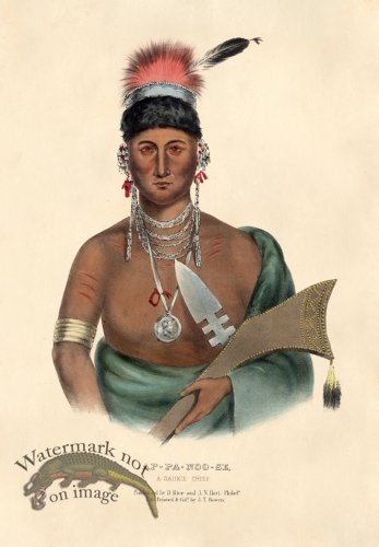 (image for) Ap-Pa-Noo-Se