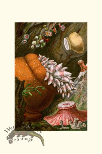 (image for) Underwater 18