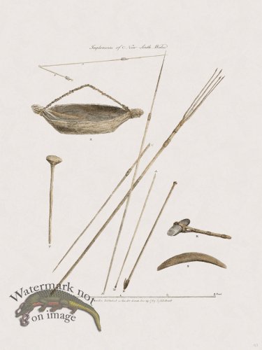 (image for) 63 New Holland Caffowary