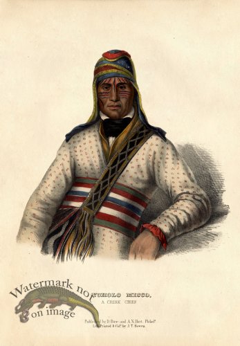 (image for) Yoholo Micco