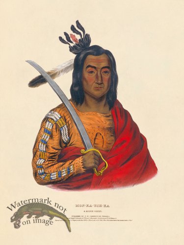 (image for) Mon-ka-ush-ka Sioux