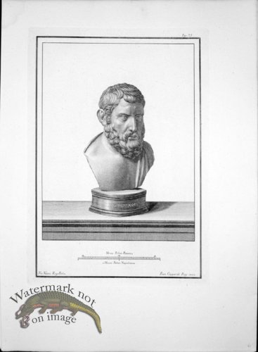 (image for) Ercolano Bust 14