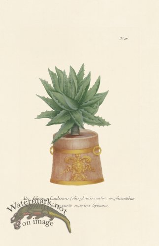 (image for) Weinmann PL 040